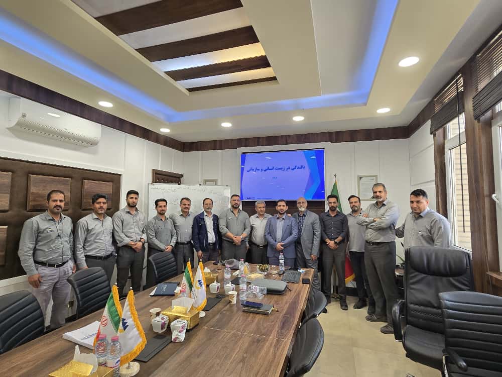 بالندگی در زیست انسانی و سازمانی